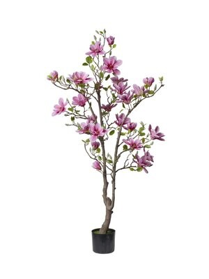PIANTA MAGNOLIA 150 CM  FIORI ROSA SCURO