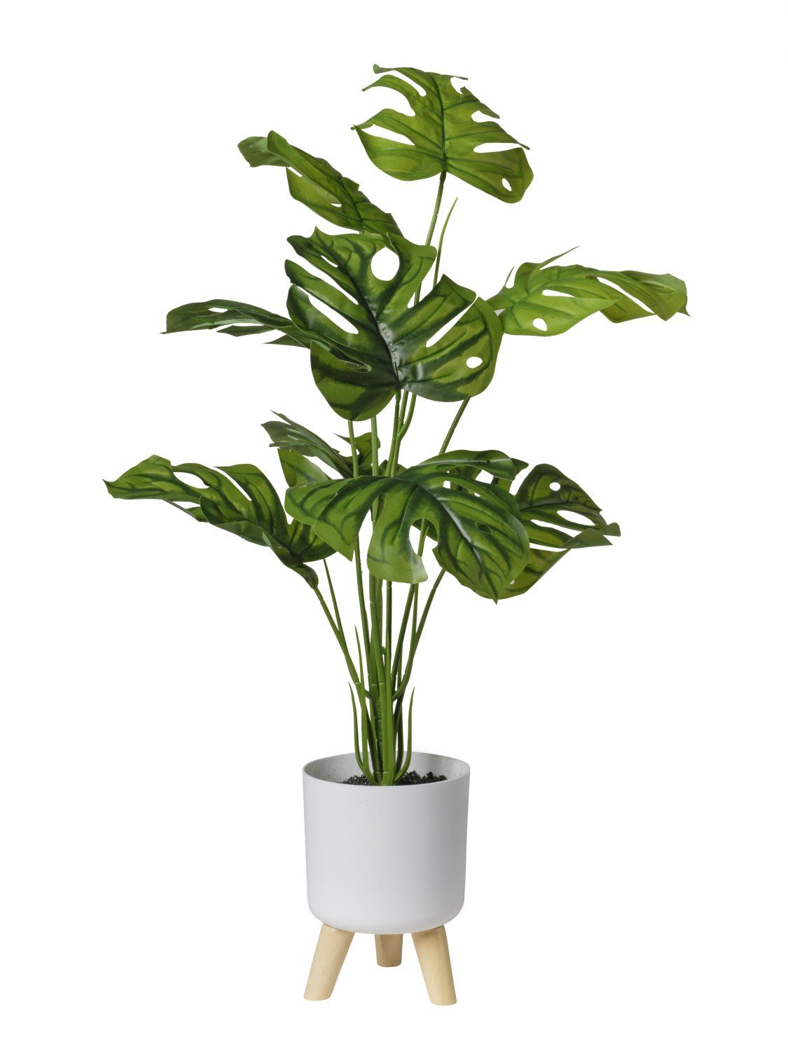 PIANTA C/9 FOGLIE CM 90 VASO TREPIEDE
