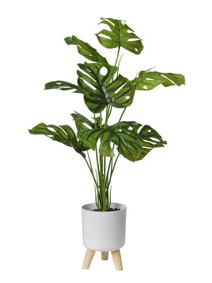 PIANTA C/9 FOGLIE CM 90 VASO TREPIEDE