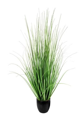PIANTA ERBA CON VASO CM.120