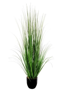 PIANTA ERBA CON VASO CM.140