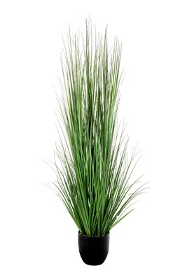 PIANTA ERBA CON VASO CM.180