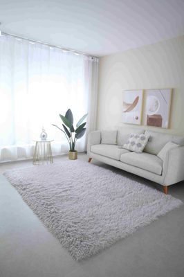 MEILIN-S SHAGGY Rug