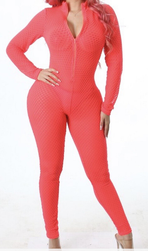 Mesh Jumpsuit