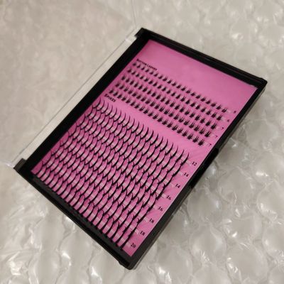 Xtra’s (bottom lashes + spikes)