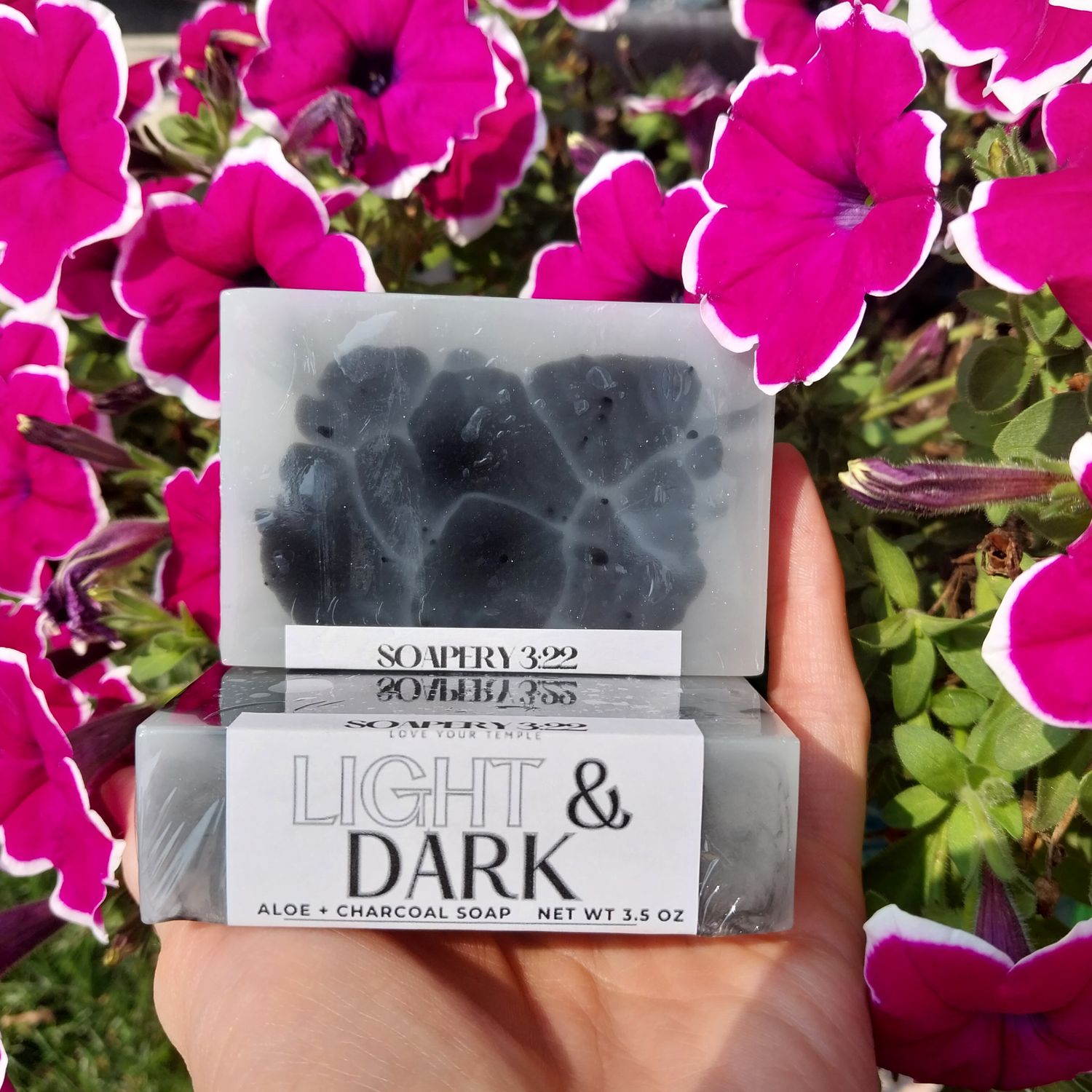 Light &amp; Dark Aloe Charcoal Soap