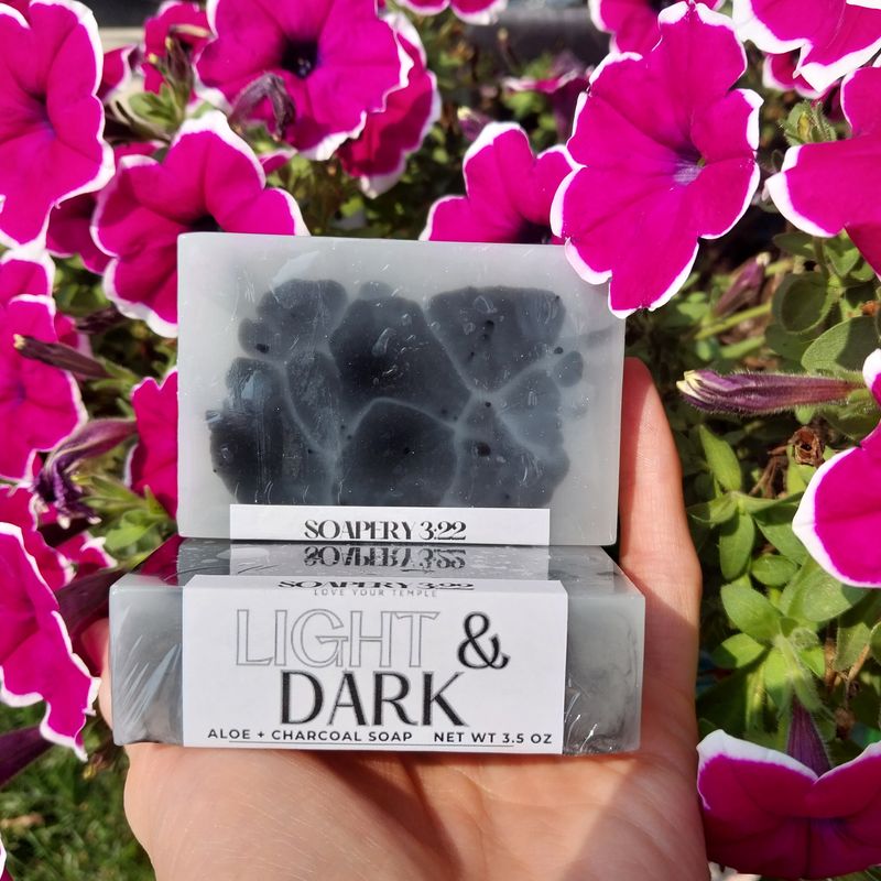 Light &amp; Dark Aloe Charcoal Soap