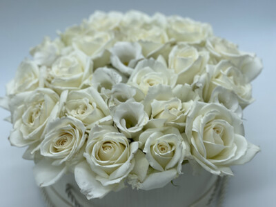 Funerals &amp; Memorials