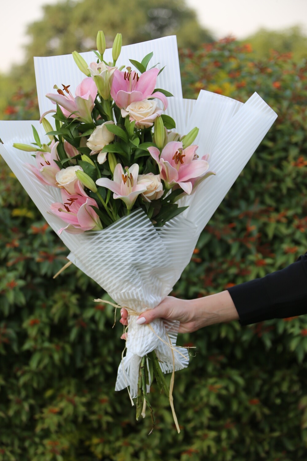 Classic / Every Month /  3 Months