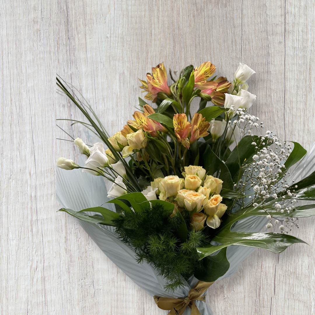 Classic / Every 2 Weeks /  6 Months