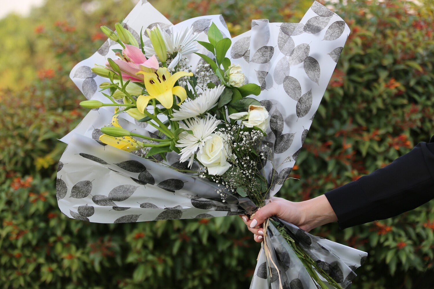 Classic / Every Month /  12 Months