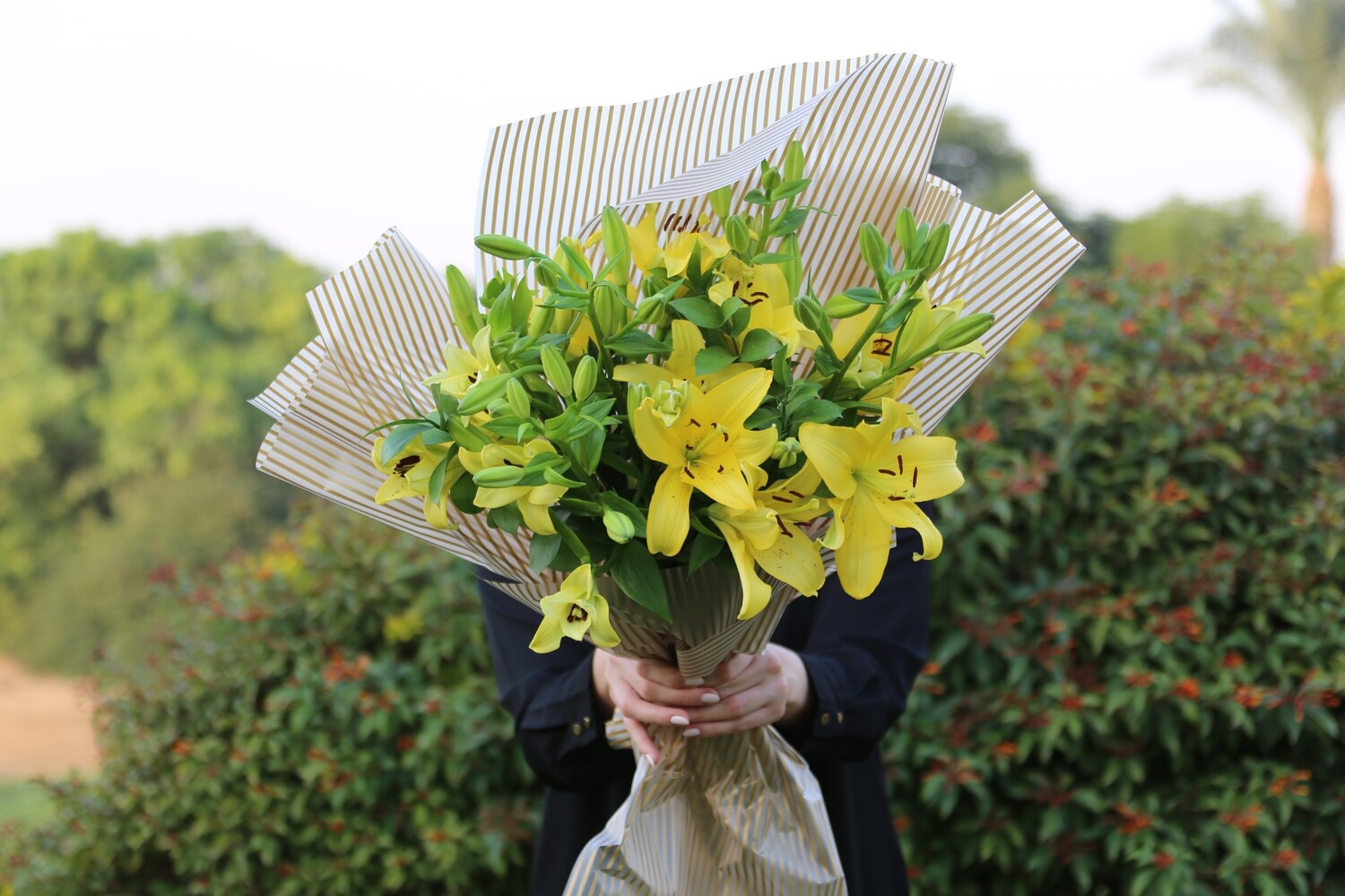 PREMIUM / Every 2 Weeks /  3 Months