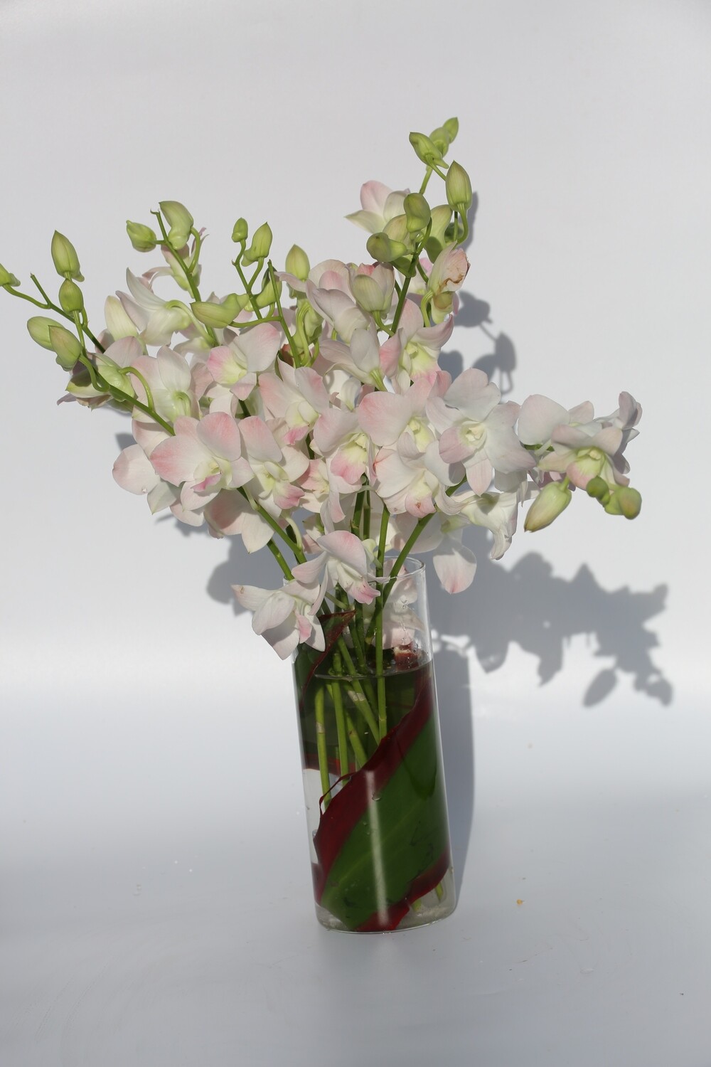 PREMIUM / Every Week /  3 Months