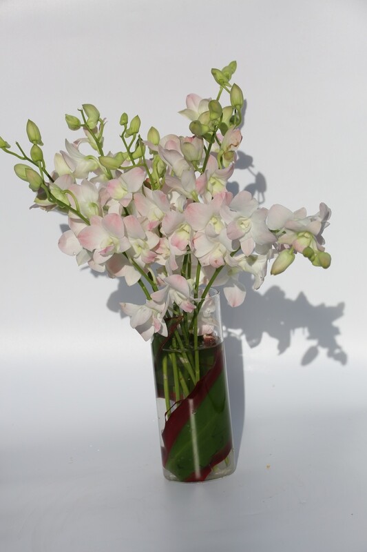 PREMIUM / Every Week /  3 Months