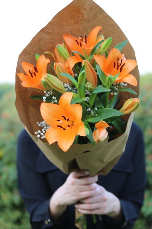 PREMIUM / Every 2 Weeks /  12 Months