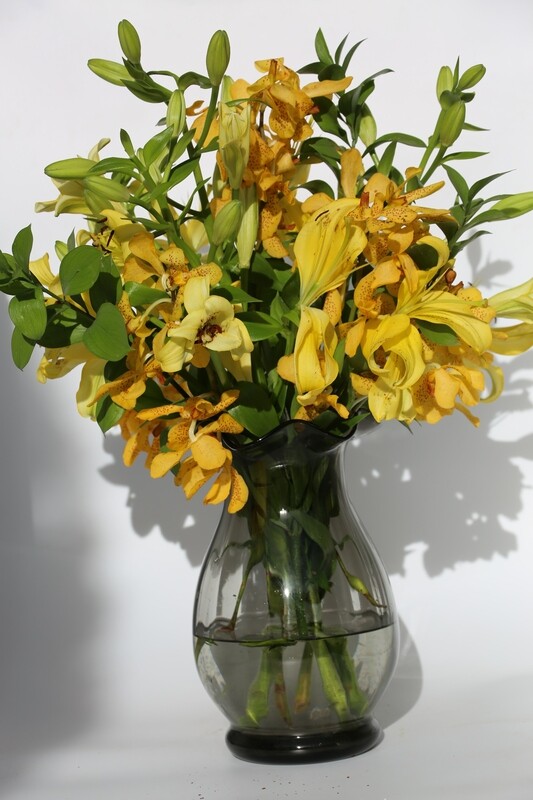 PREMIUM / Every Week /  12 Months