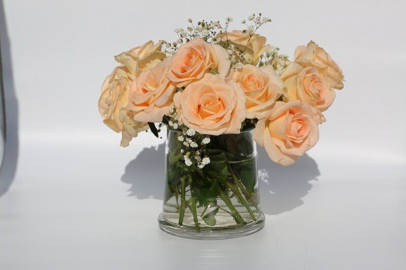 BASIC / Every Month /  3 Months