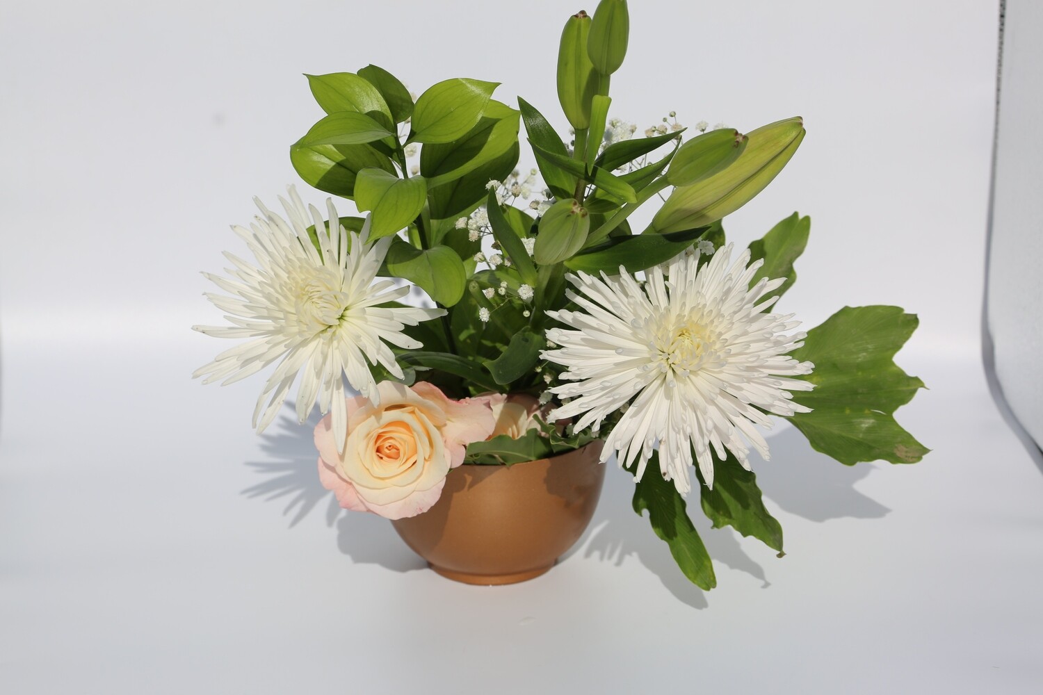 BASIC / Every Month /  6 Months