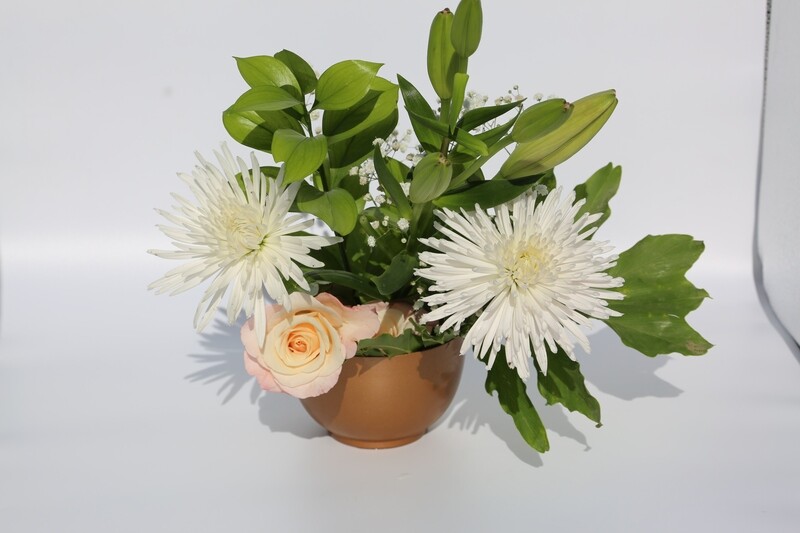 BASIC / Every Week /  6 Months