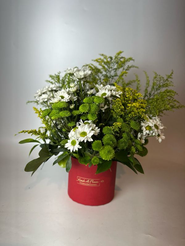 Sincere Blossom