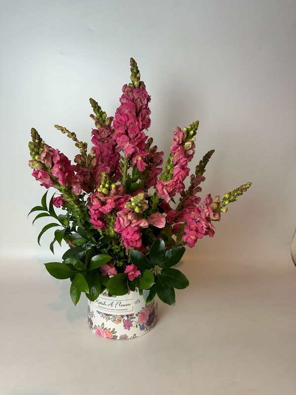 Vibrant Bloom