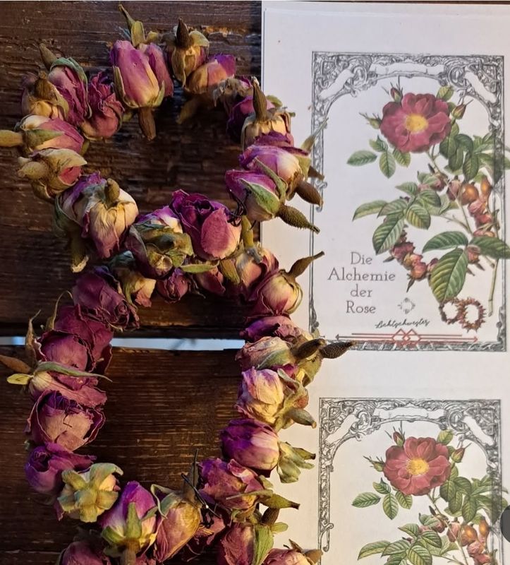 "can i call you rose?"