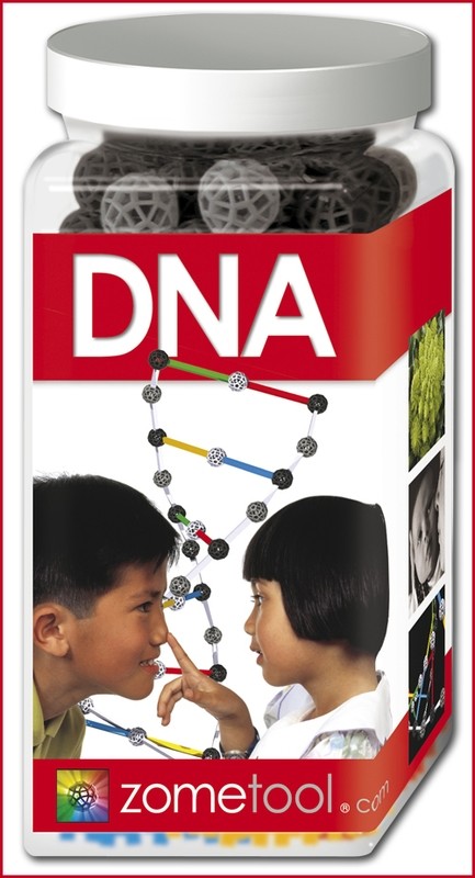 DNA - Biochemie Bausatz