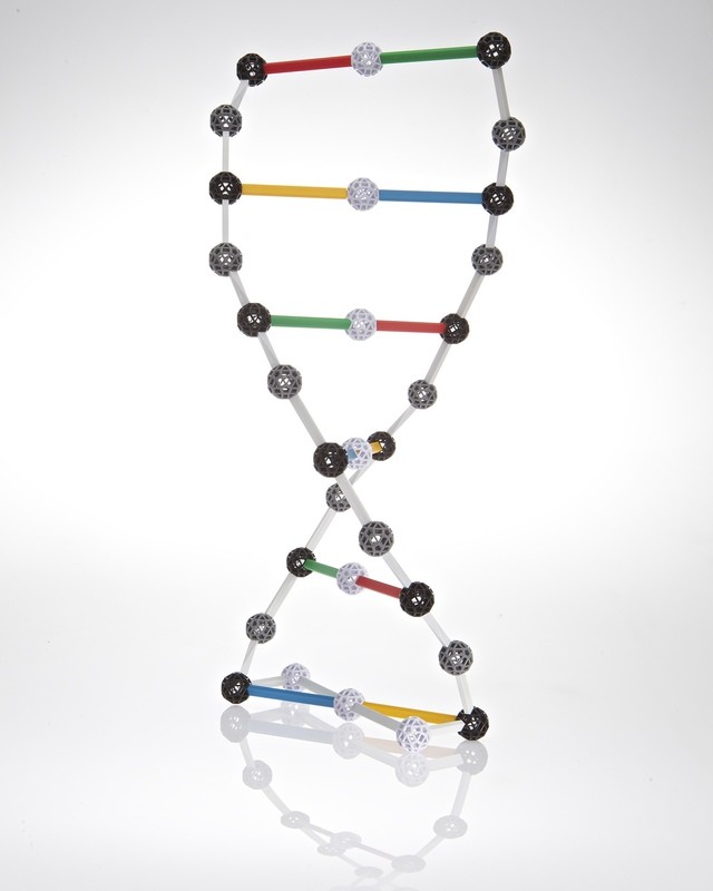 DNA - Biochemistry