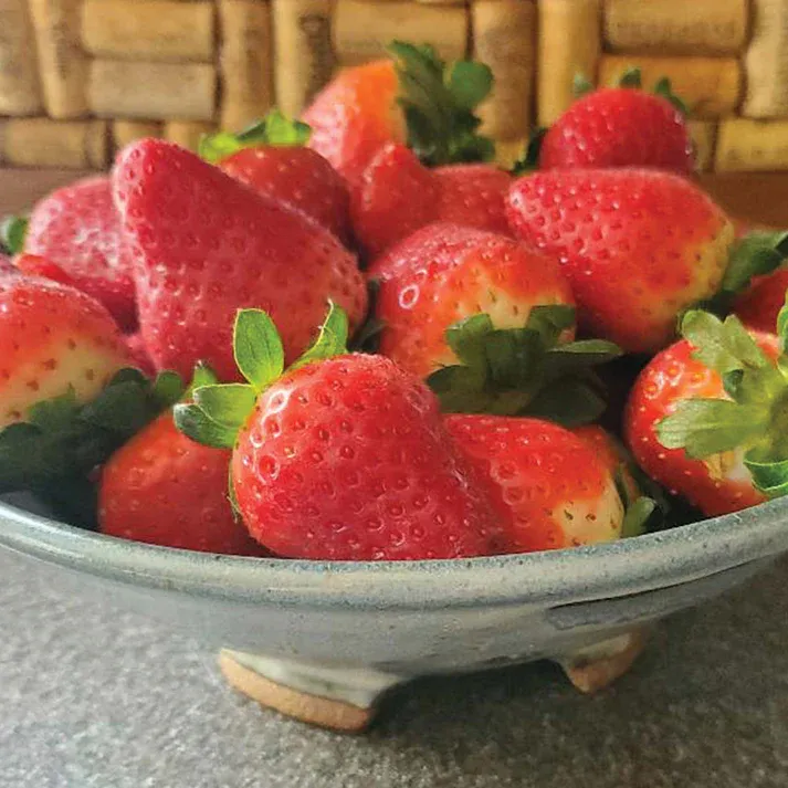 Fresca Strawberry Seeds 15+ Seeds