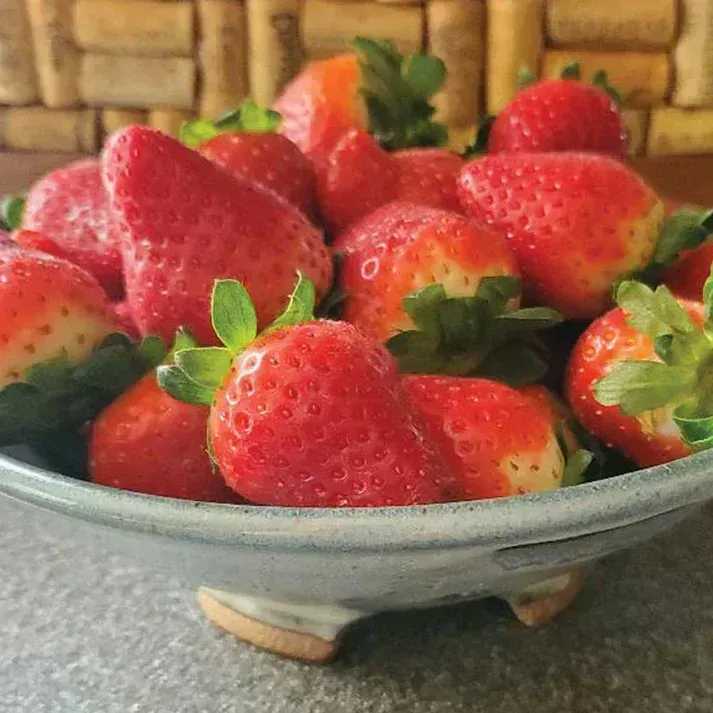 Fresca Strawberry Seeds 15+ Seeds