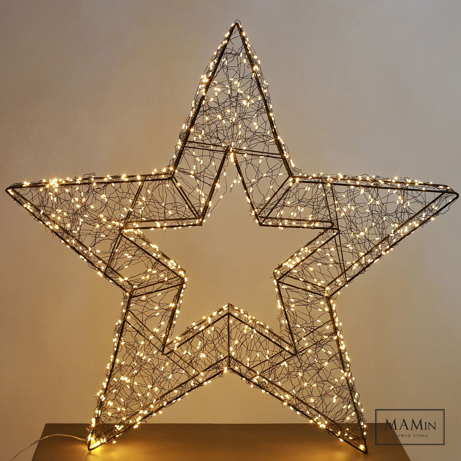 LED žvaigždė L