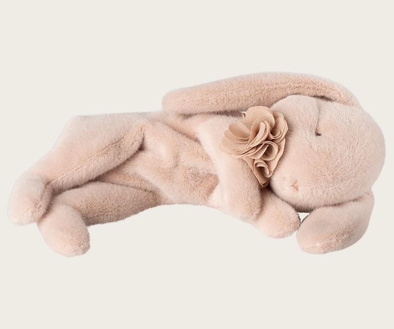 Triušis (miegantis)