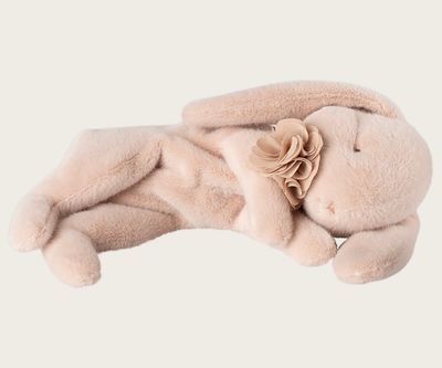 Triušis (miegantis)