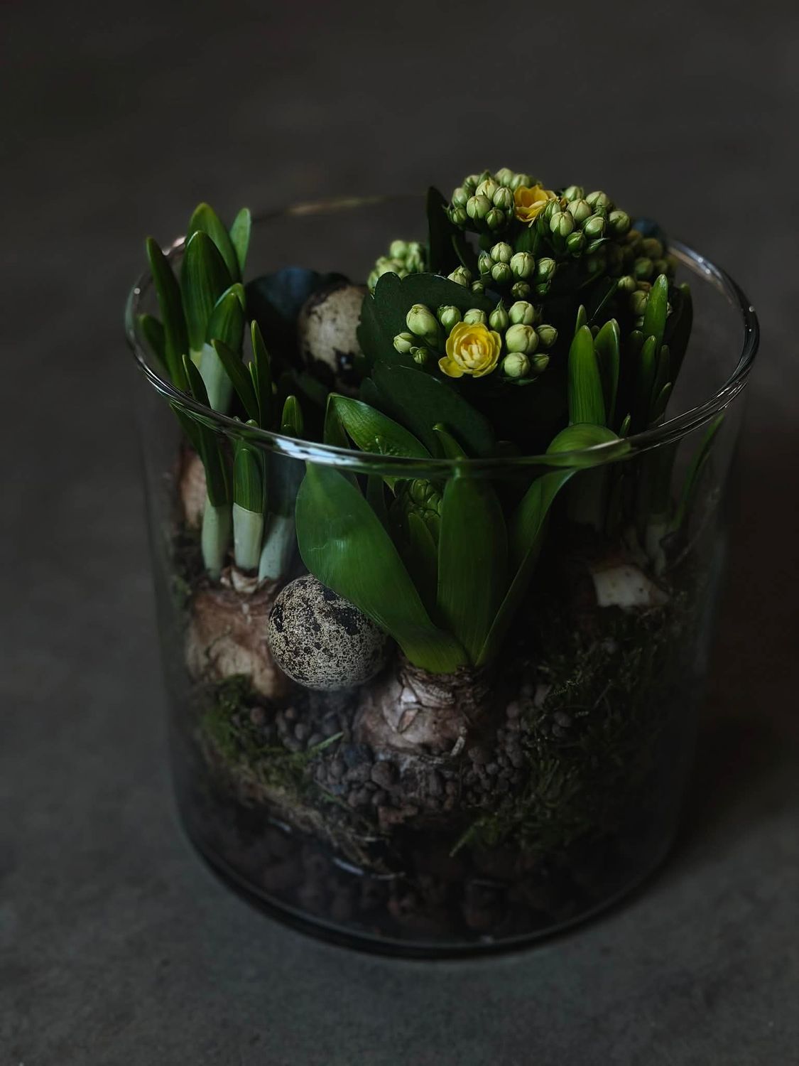 Pavasarinė kompozicija stiklo vazoje M