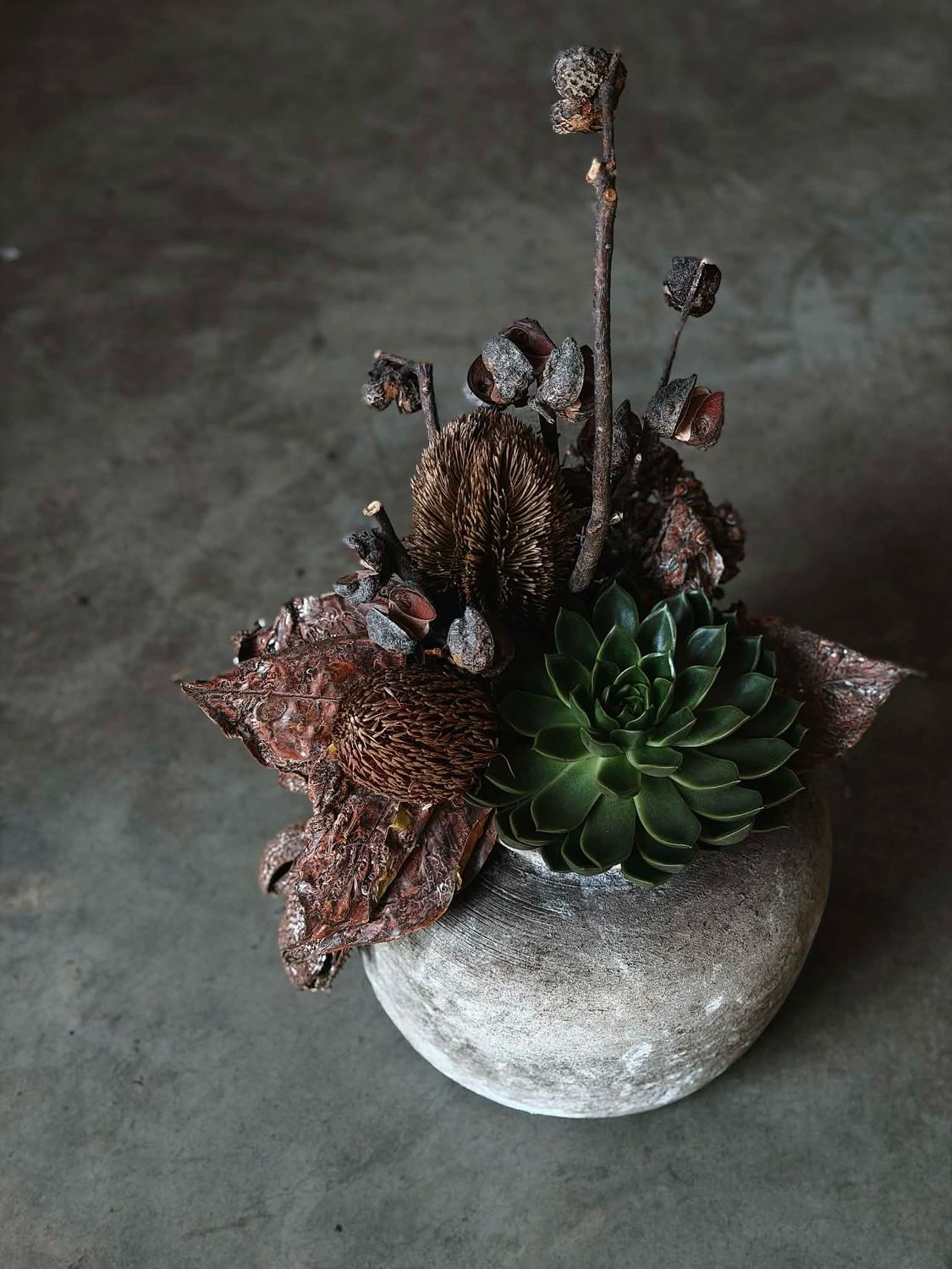 Kompozicija keramikinėje vazoje - L