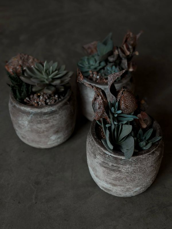 Kompozicija keramikinėje vazoje - M