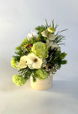 Gėlių dėžutė "Lemoné" XS