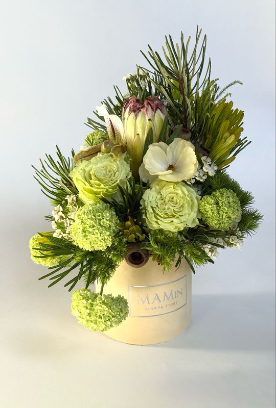 Gėlių dėžutė "Lemoné" S