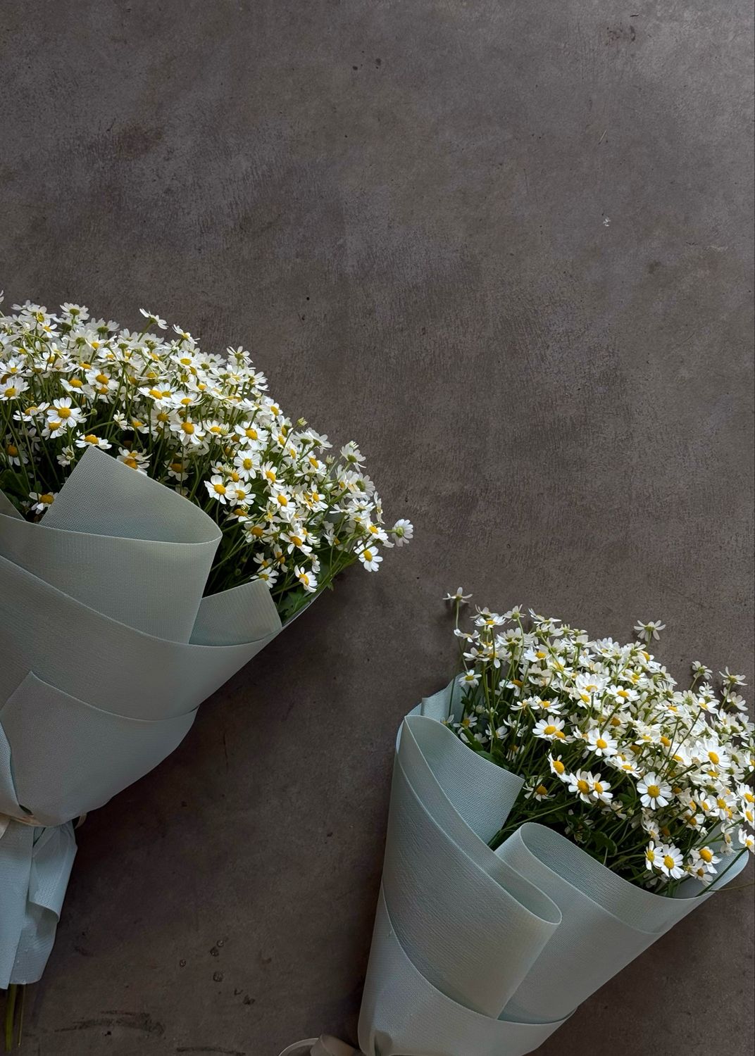 Puokštė "Ramunės"