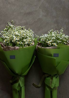 Puokštė "Ramunės"