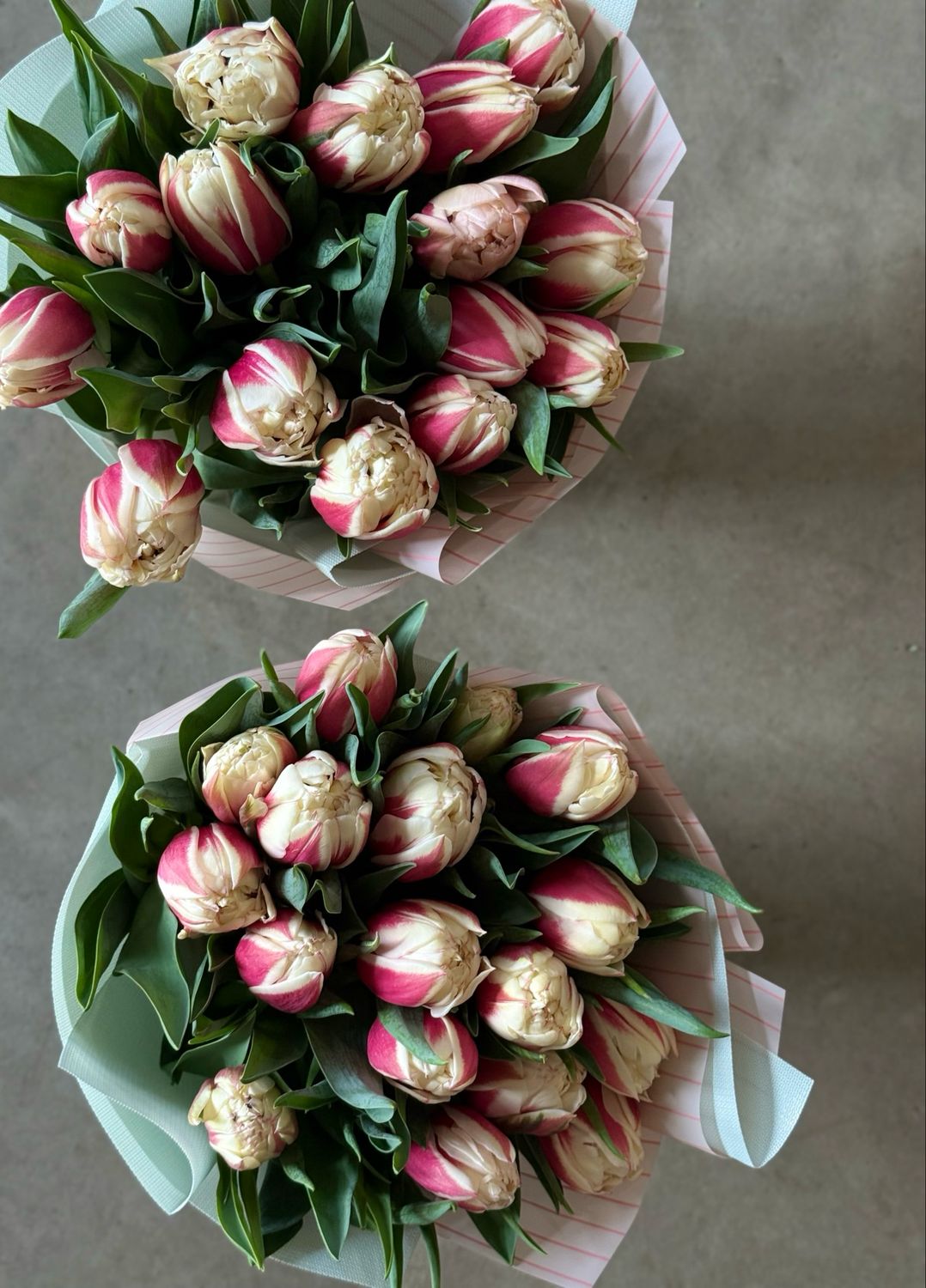 Puokštė "Tulpės”