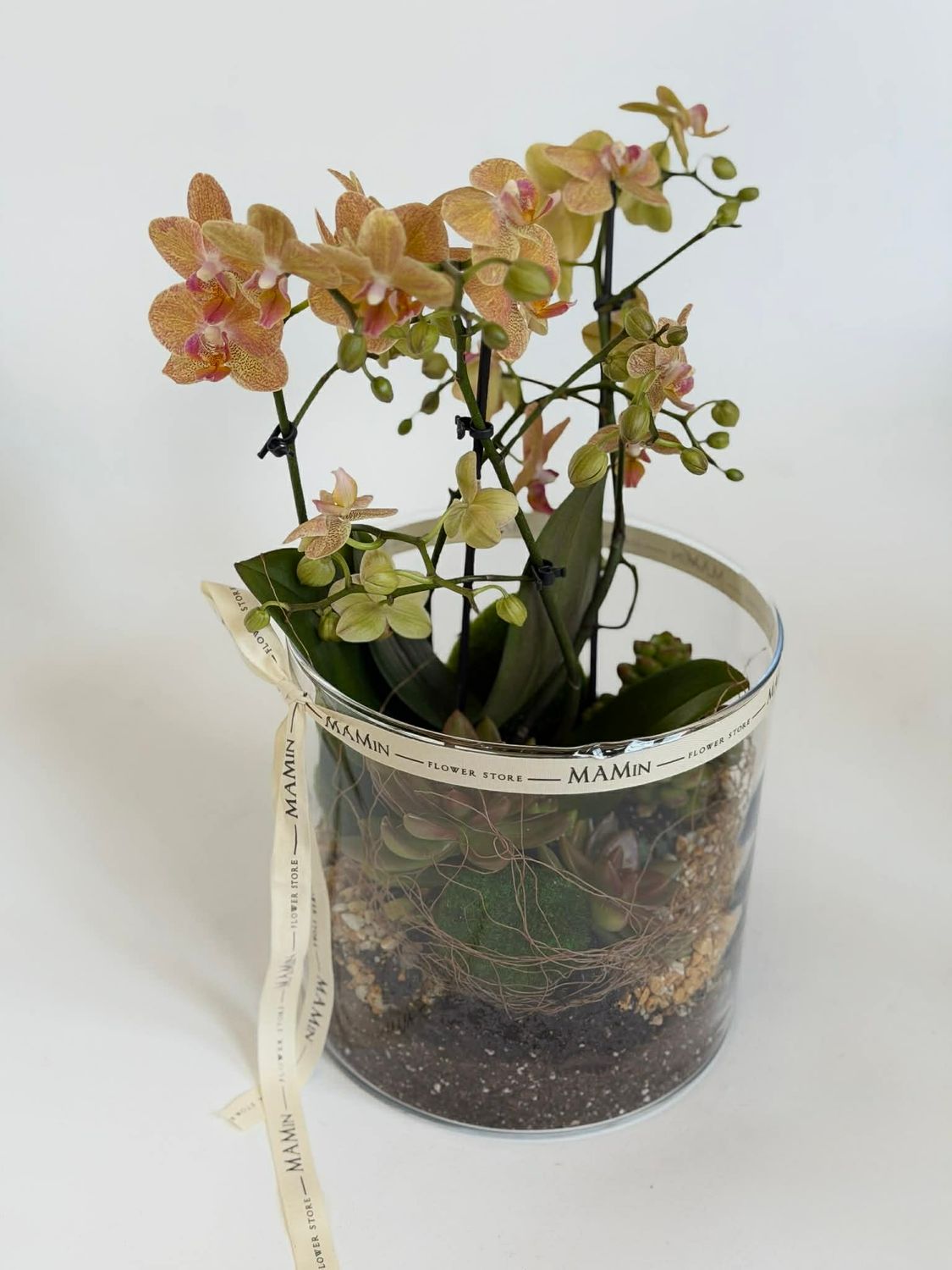 Kompozicija su Orchidėja stiklo vazoje