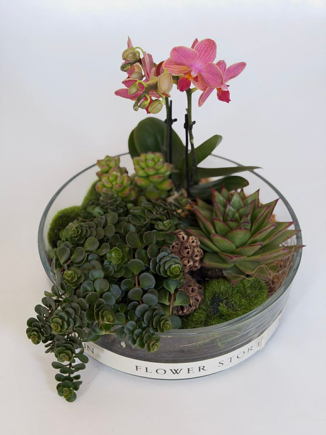 Kompozicija su Orchidėja stiklo vazoje