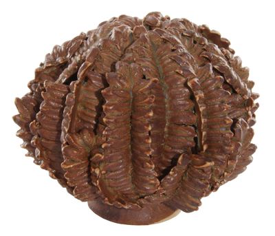 Keramikinė vaza „Fern Ball“ XS