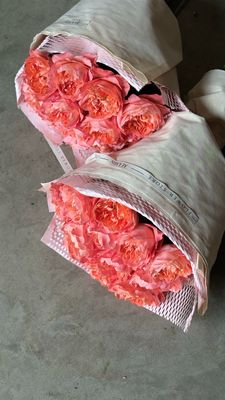 Sodo rožių puokštė "BRIGHT ROSES" M