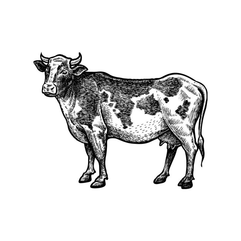 Raw Wagyu Beef