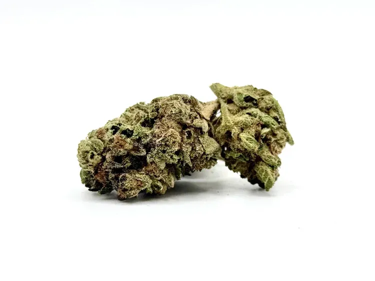 THCA - Small Flower - Chocolatina