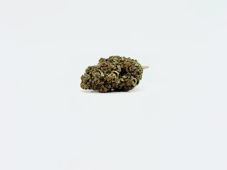 THCA - Small Flower - Gelato 41