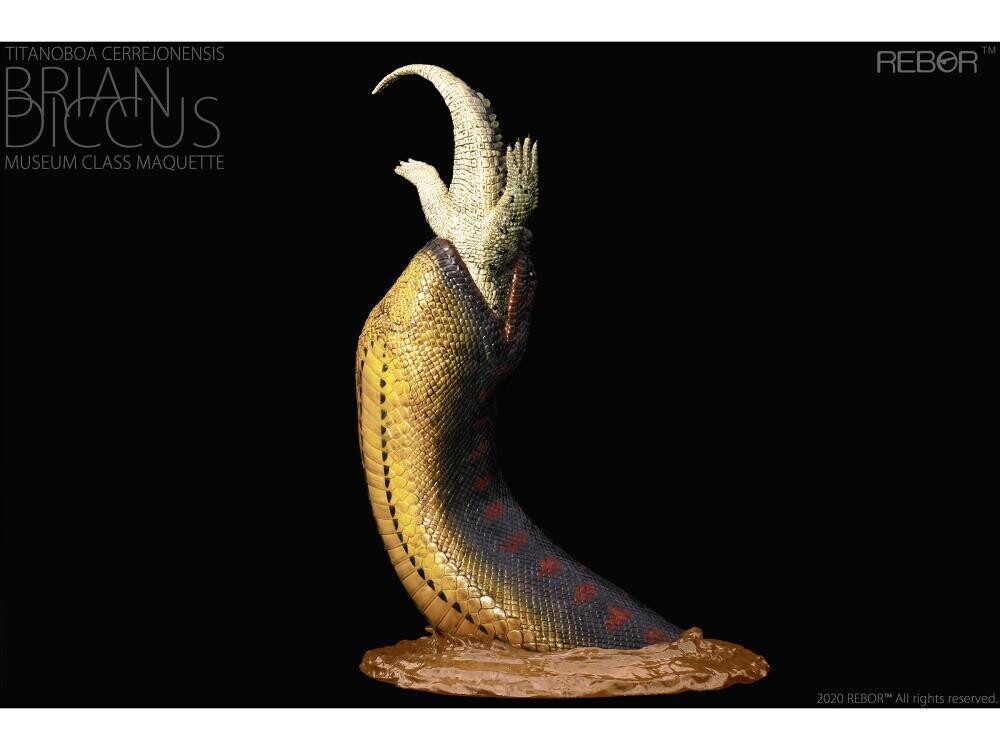 Titanoboa Cerrejonensis Brian Diccus