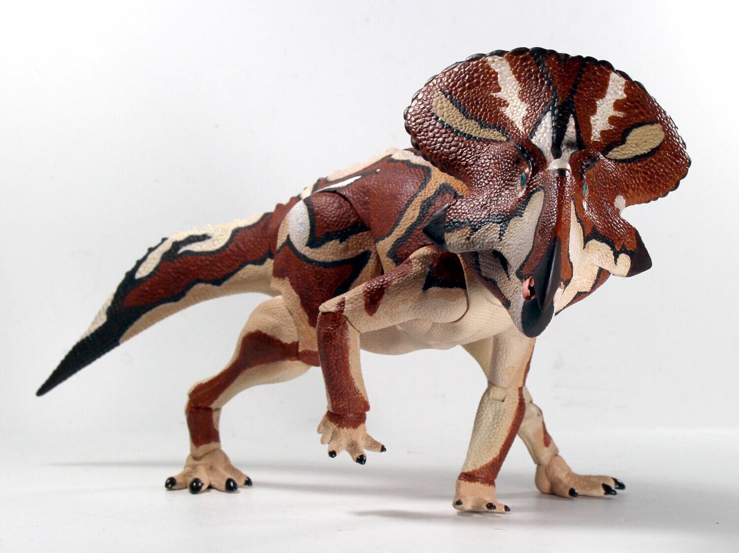 PROTOCERATOPS